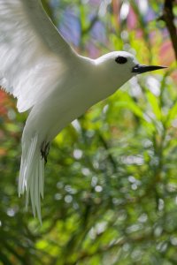 DSC_4123_DxO_DxO.jpg