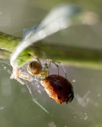 922A0808.jpg