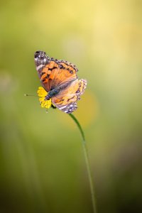 _V0A8107-Edit.jpg
