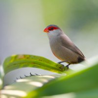 DSC_6528_DxO.jpg