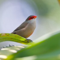 DSC_6539_DxO.jpg