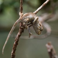 DSC_4561_DxO_DxO.jpg
