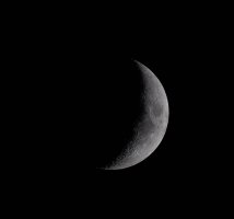 R6M2_IMG_03757-001_Up.jpg