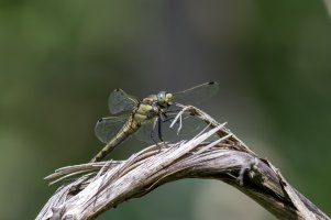 922A9352.jpg