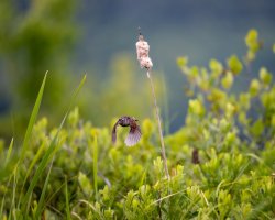 _V0A9436-Edit.jpg