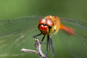 922A0505.jpg