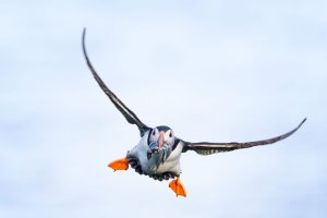 IMG_7242.jpeg