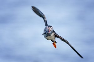 IMG_7243.jpeg