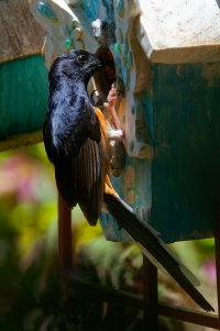 DSC_6826_DxO.jpg