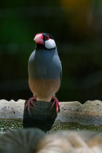 DSC_6792_DxO.jpg