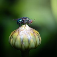 IMG_8756.jpg