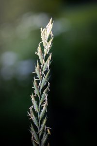 IMG_8746.jpg