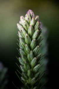 IMG_8706.jpg