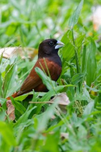 DSC_7248_DxO.jpg