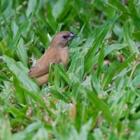 DSC_7280_DxO.jpg