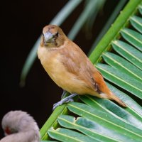 DSC_7298_DxO.jpg