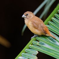 DSC_7321_DxO.jpg