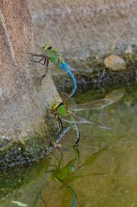 DSC_6965_DxO.jpg
