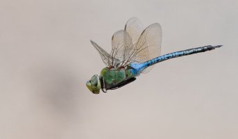 DSC_6116_DxO_DxO.jpg