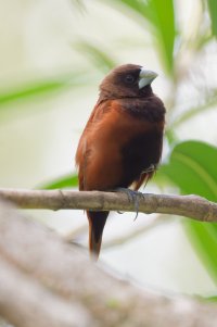 DSC_7337_DxO.jpg