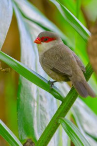 DSC_7655_DxO.jpg