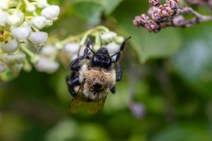 IMG_9100-Edit.jpg
