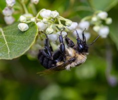 IMG_9091-Edit.jpg