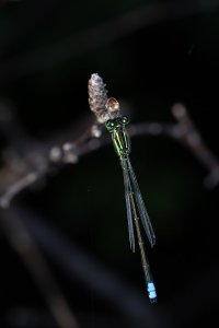 IMG_8876-Edit.jpg