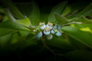 IMG_8859-Edit.jpg
