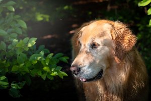IMG_9005-Edit.jpg