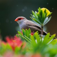 DSC_7736_DxO.jpg DSC_7736_DxO.jpg