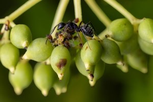 1V0A3082-Edit.jpg