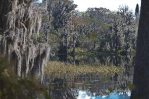 lake-2.jpg