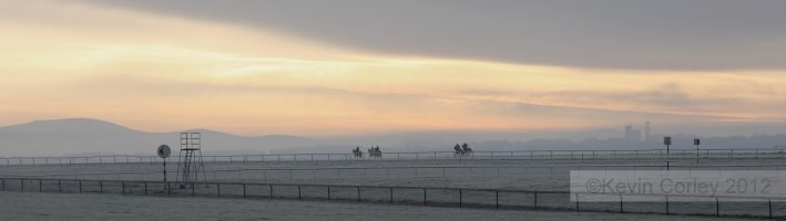 Curragh Camp Racecourse Horses.jpg