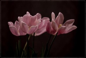 _MG_5509 small.jpg