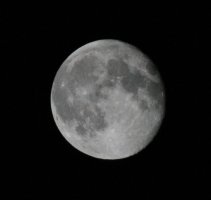 big moon 006.JPG