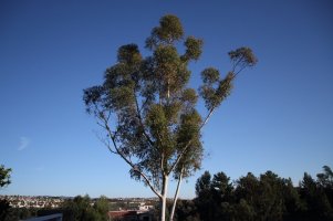 Filter Test01 with ND400_resize.JPG