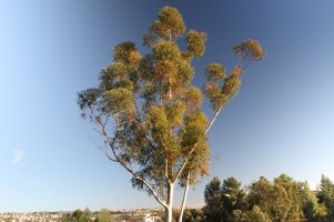 Filter Test02 with LCM on Max_resize.JPG