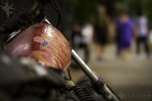 momo IMG_0803-Edit.jpg