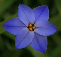 IMG_1241a [1280x768].jpg