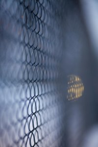 Winter Image - Don't fence me in - Copy.jpg