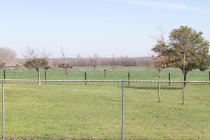 IMG_9932_resize.jpg