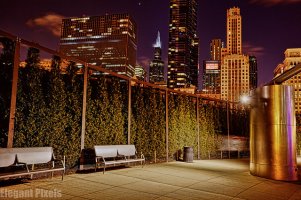 millenium park - skyline background.jpg