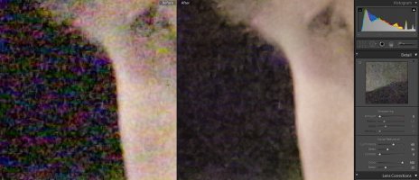 400percent-crop-51200.jpg