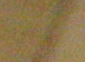 600percent-crop-6400.jpg