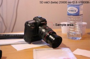 1-25600iso-samplearea.jpg
