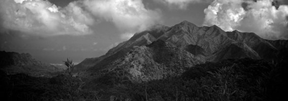 IMG_0727 - Version 2.jpg