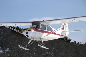 IMG_0603.jpg