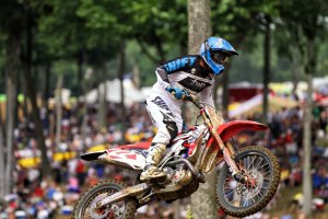 IMG_2765.jpg