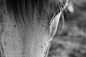 IMG_1791.jpg